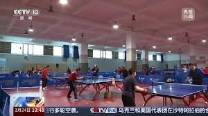 艾弗森ballbet 奇趣体验！儿童木马带滑梯户外让孩子尽情嬉戏